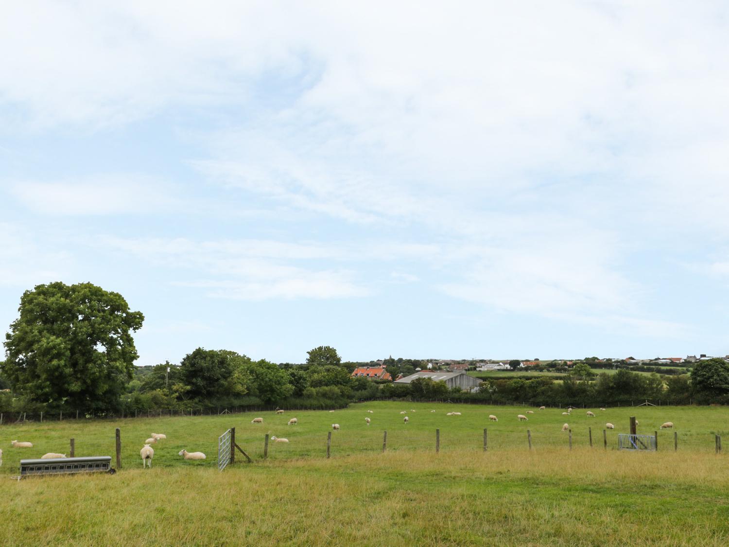 Milton Cottage Whitby Bagian luar foto